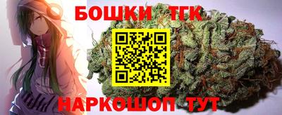 стаф Кингисепп