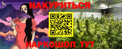 стаф Кингисепп