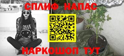 стаф Кингисепп