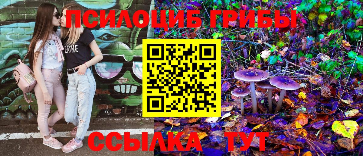 Галлюциногенные грибы ЛСД Бутурлиновка