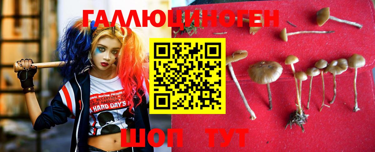 Бутурлиновка  Псилоцибиновые грибы Psilocybe  Галлюциногенные грибы мухоморы  Вход с VPN 